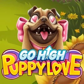 Go High Puppy Love online slot from RubyPlay – play at festivalplaycasino.ca
